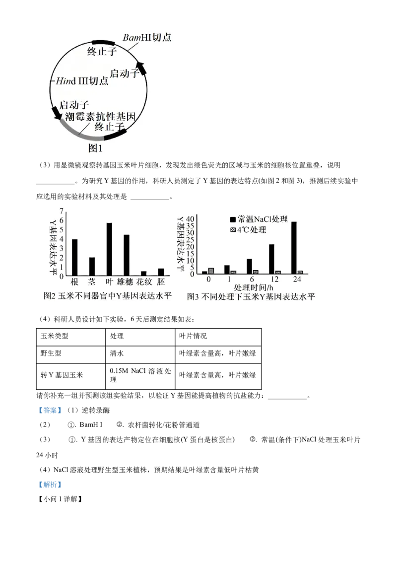 2026届陕西省西安中学高三第三次模拟考试生物试卷Word版含解析_2024-2026高三（6-6月题库）_2026年04月高三试卷_260405陕西省西安中学2026届高三下学期第三次模拟考试