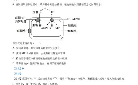 2026届陕西省西安中学高三第三次模拟考试生物试卷Word版含解析_2024-2026高三（6-6月题库）_2026年04月高三试卷_260405陕西省西安中学2026届高三下学期第三次模拟考试