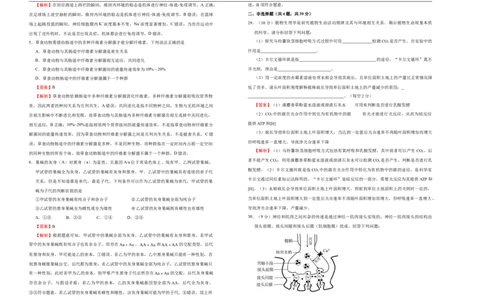 原创2021届高三第三次模拟考试卷生物（一）教师版_通用版（老高考）复习资料_2023年复习资料_专项复习_2023《微专题&middot;小练习》&middot;生物_模拟题_2021三模试卷