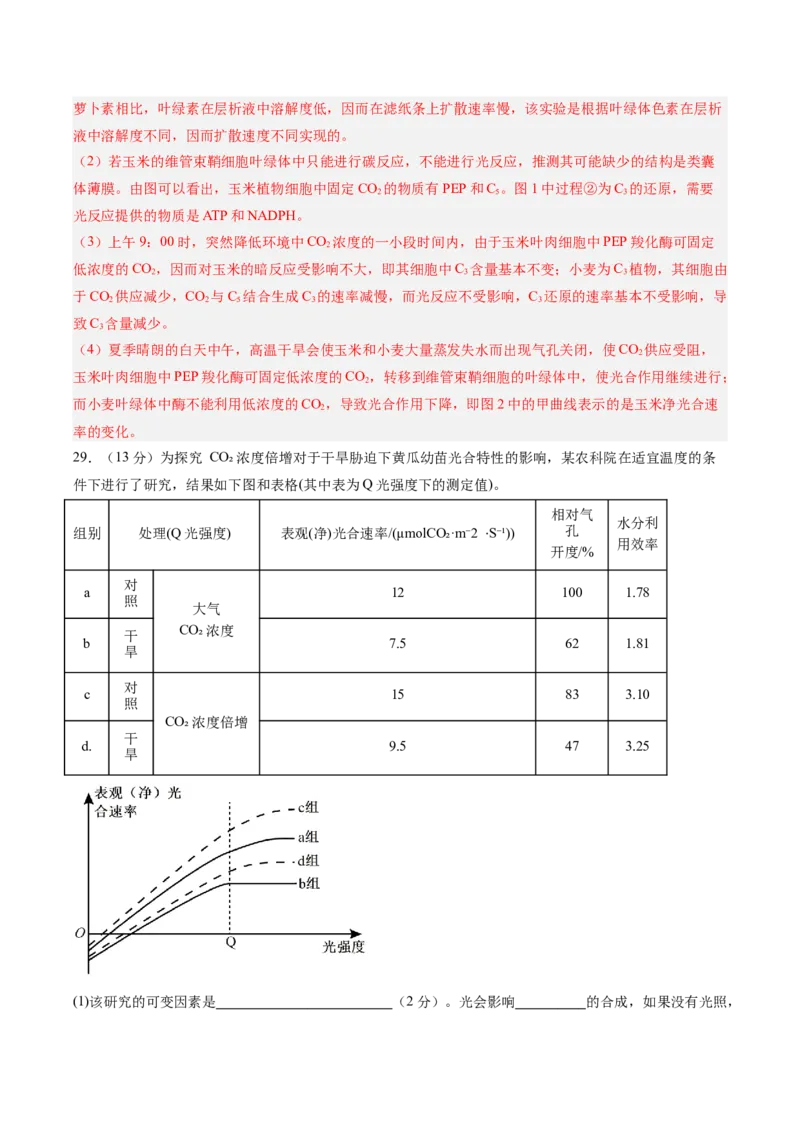 单元检测卷03细胞的能量供应和利用（解析版）_新高考复习资料_2025年新高考资料_2025年高考生物一轮复习考点通关卷（新高考通用）