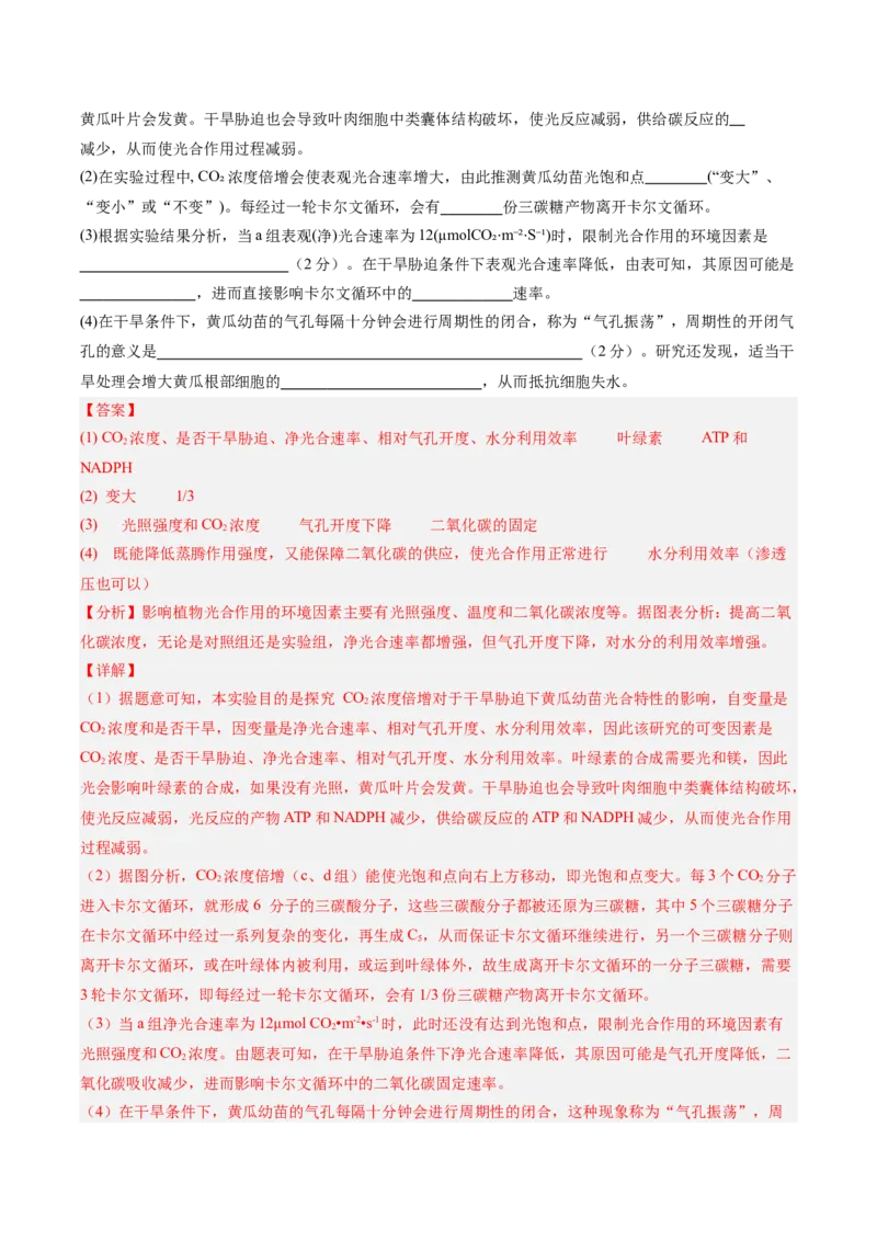 单元检测卷03细胞的能量供应和利用（解析版）_新高考复习资料_2025年新高考资料_2025年高考生物一轮复习考点通关卷（新高考通用）