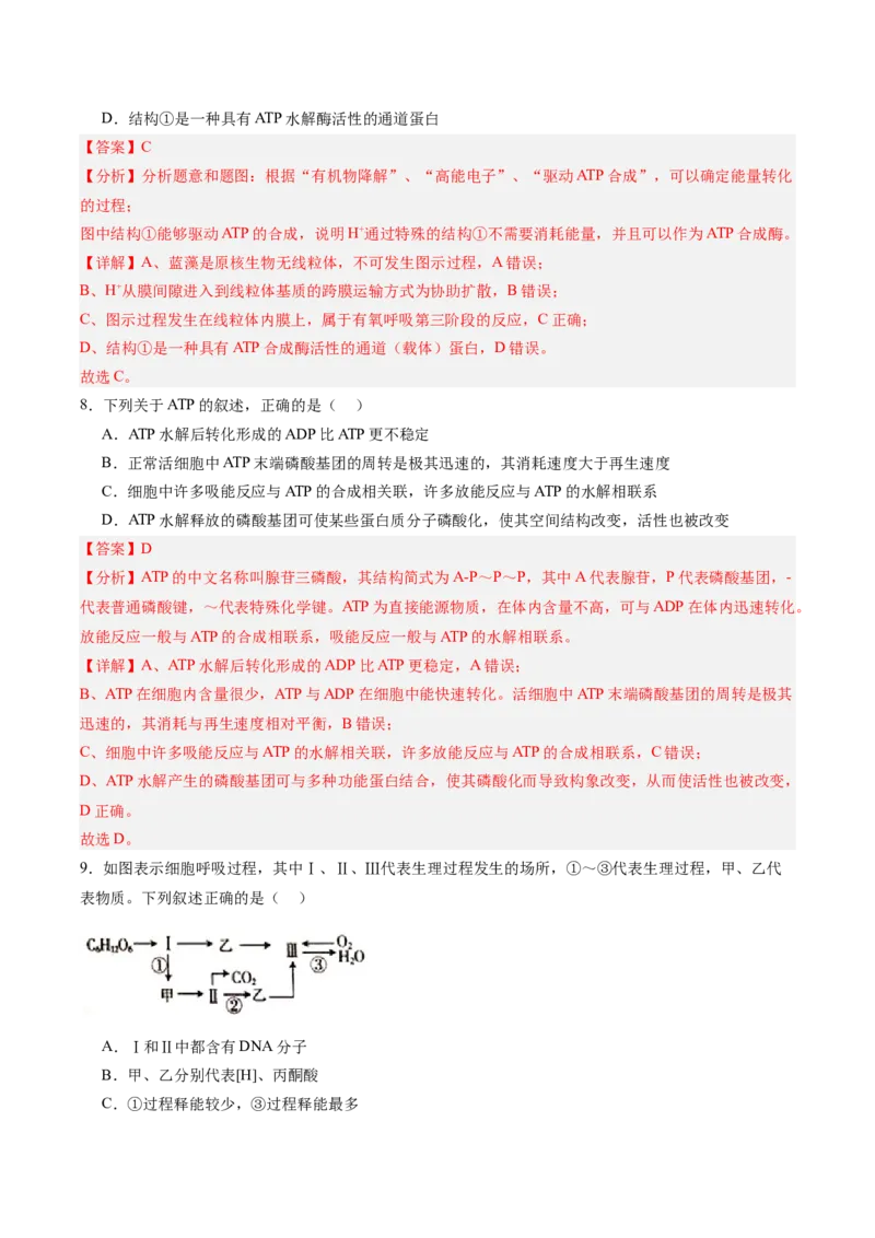 单元检测卷03细胞的能量供应和利用（解析版）_新高考复习资料_2025年新高考资料_2025年高考生物一轮复习考点通关卷（新高考通用）