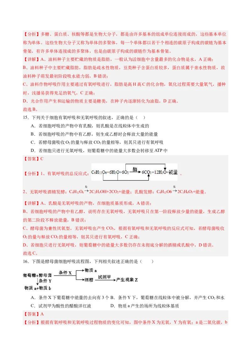 单元检测卷03细胞的能量供应和利用（解析版）_新高考复习资料_2025年新高考资料_2025年高考生物一轮复习考点通关卷（新高考通用）