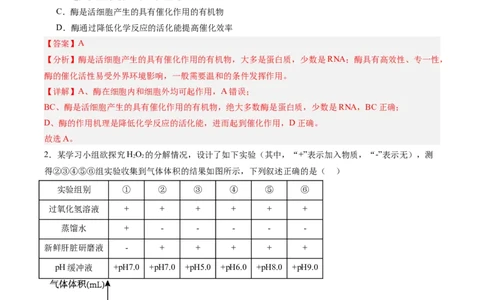 单元检测卷03细胞的能量供应和利用（解析版）_新高考复习资料_2025年新高考资料_2025年高考生物一轮复习考点通关卷（新高考通用）