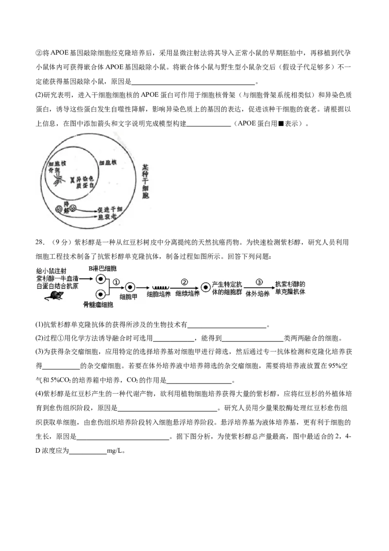 单元检测卷10生物技术与工程（原卷版）_2025年新高考资料_一轮复习_2025年高考生物一轮复习考点通关卷（新高考通用）