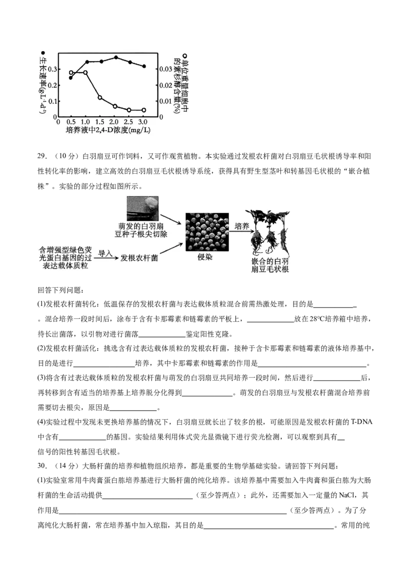 单元检测卷10生物技术与工程（原卷版）_2025年新高考资料_一轮复习_2025年高考生物一轮复习考点通关卷（新高考通用）