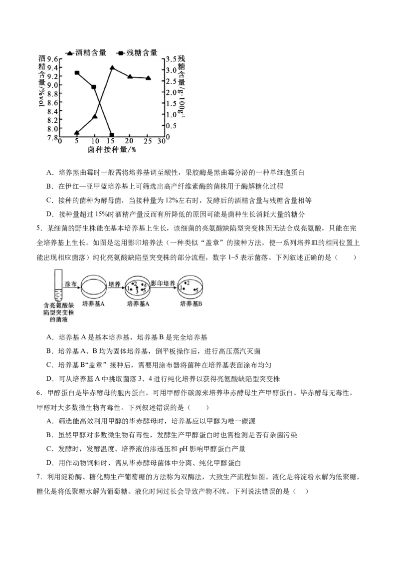 单元检测卷10生物技术与工程（原卷版）_2025年新高考资料_一轮复习_2025年高考生物一轮复习考点通关卷（新高考通用）