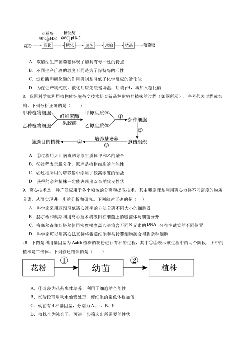 单元检测卷10生物技术与工程（原卷版）_2025年新高考资料_一轮复习_2025年高考生物一轮复习考点通关卷（新高考通用）