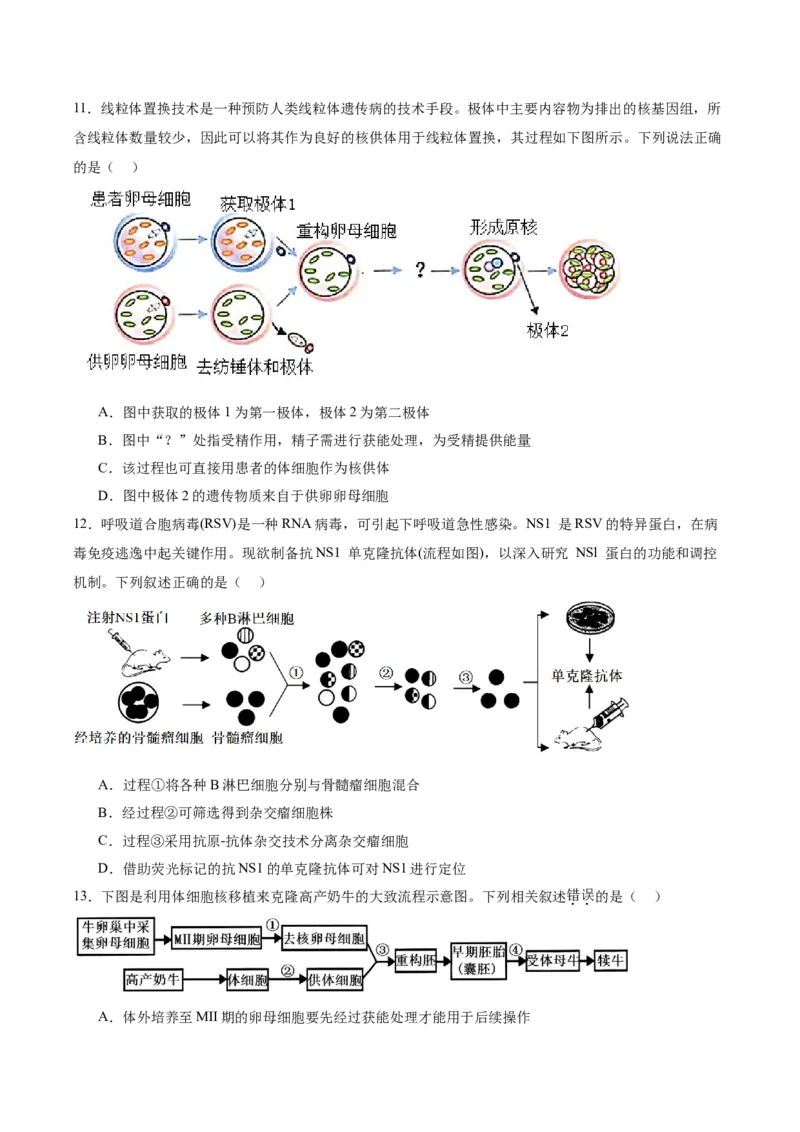 单元检测卷10生物技术与工程（原卷版）_2025年新高考资料_一轮复习_2025年高考生物一轮复习考点通关卷（新高考通用）