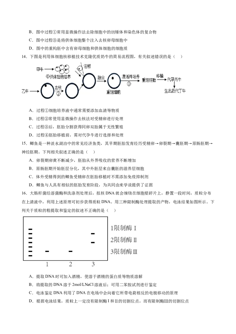 单元检测卷10生物技术与工程（原卷版）_2025年新高考资料_一轮复习_2025年高考生物一轮复习考点通关卷（新高考通用）