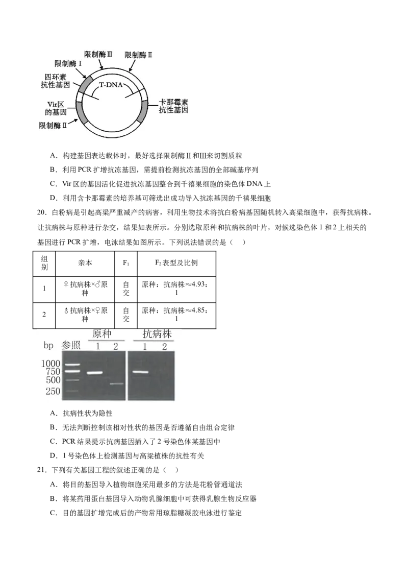 单元检测卷10生物技术与工程（原卷版）_2025年新高考资料_一轮复习_2025年高考生物一轮复习考点通关卷（新高考通用）