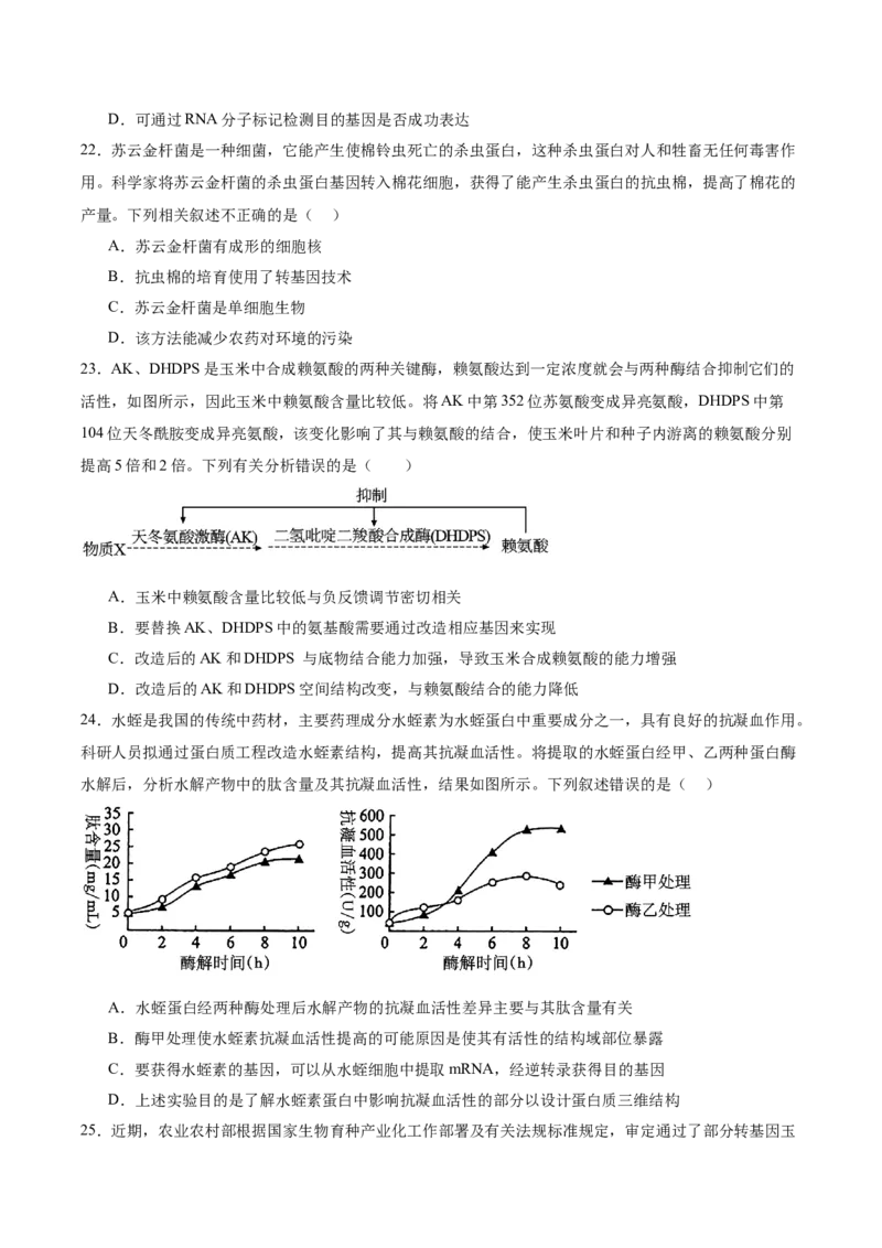 单元检测卷10生物技术与工程（原卷版）_2025年新高考资料_一轮复习_2025年高考生物一轮复习考点通关卷（新高考通用）