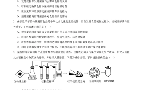 单元检测卷10生物技术与工程（原卷版）_2025年新高考资料_一轮复习_2025年高考生物一轮复习考点通关卷（新高考通用）