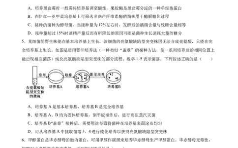 单元检测卷10生物技术与工程（原卷版）_2025年新高考资料_一轮复习_2025年高考生物一轮复习考点通关卷（新高考通用）