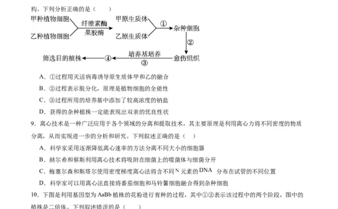 单元检测卷10生物技术与工程（原卷版）_2025年新高考资料_一轮复习_2025年高考生物一轮复习考点通关卷（新高考通用）