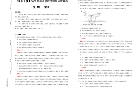 原创最后十套2021年高考名校考前提分仿真卷生物（四）教师版_通用版（老高考）复习资料_2023年复习资料_专项复习_2023《微专题&middot;小练习》&middot;生物_模拟题