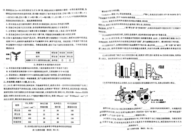 2026年信阳市高中毕业年级第二次质量检测（四模）生物_2024-2026高三（6-6月题库）_2026年04月高三试卷_260425河南省五市二模2026年高中毕业年级第二次质量检测（全科）