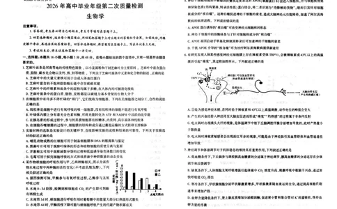 2026年信阳市高中毕业年级第二次质量检测（四模）生物_2024-2026高三（6-6月题库）_2026年04月高三试卷_260425河南省五市二模2026年高中毕业年级第二次质量检测（全科）