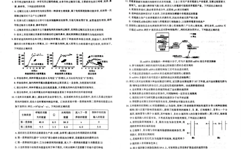 2026年信阳市高中毕业年级第二次质量检测（四模）生物_2024-2026高三（6-6月题库）_2026年04月高三试卷_260425河南省五市二模2026年高中毕业年级第二次质量检测（全科）
