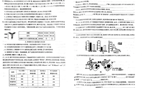 2026年信阳市高中毕业年级第二次质量检测（四模）生物_2024-2026高三（6-6月题库）_2026年04月高三试卷_260425河南省五市二模2026年高中毕业年级第二次质量检测（全科）