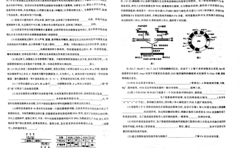 2026年信阳市高中毕业年级第二次质量检测（四模）生物_2024-2026高三（6-6月题库）_2026年04月高三试卷_260425河南省五市二模2026年高中毕业年级第二次质量检测（全科）