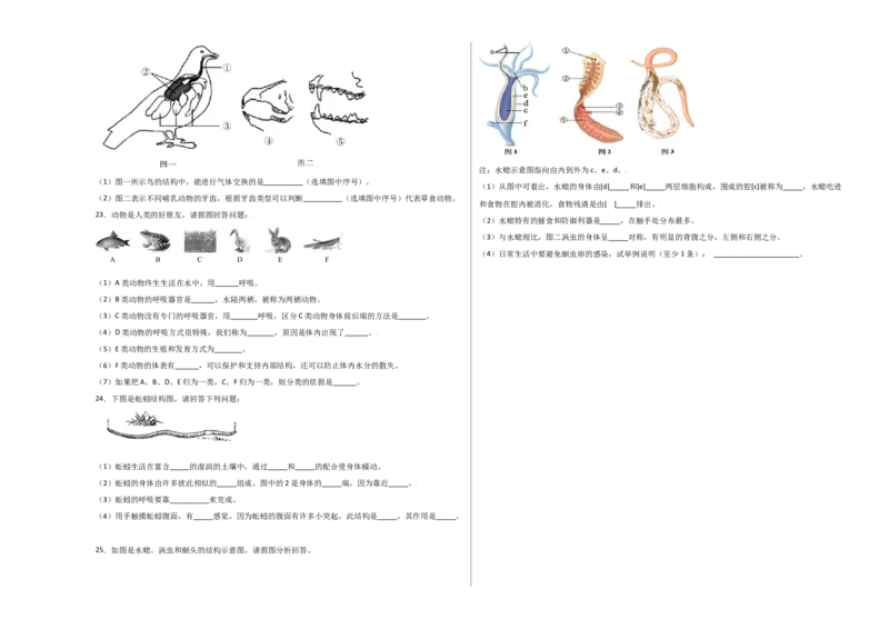 第五单元（第一章）动物的主要类群（选拔卷）-（人教版）（考试版）_初中全科电子版试卷练习试题_生物_生物8上练习_人教生物8年级上单元试卷48份