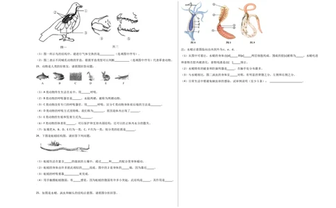 第五单元（第一章）动物的主要类群（选拔卷）-（人教版）（考试版）_初中全科电子版试卷练习试题_生物_生物8上练习_人教生物8年级上单元试卷48份