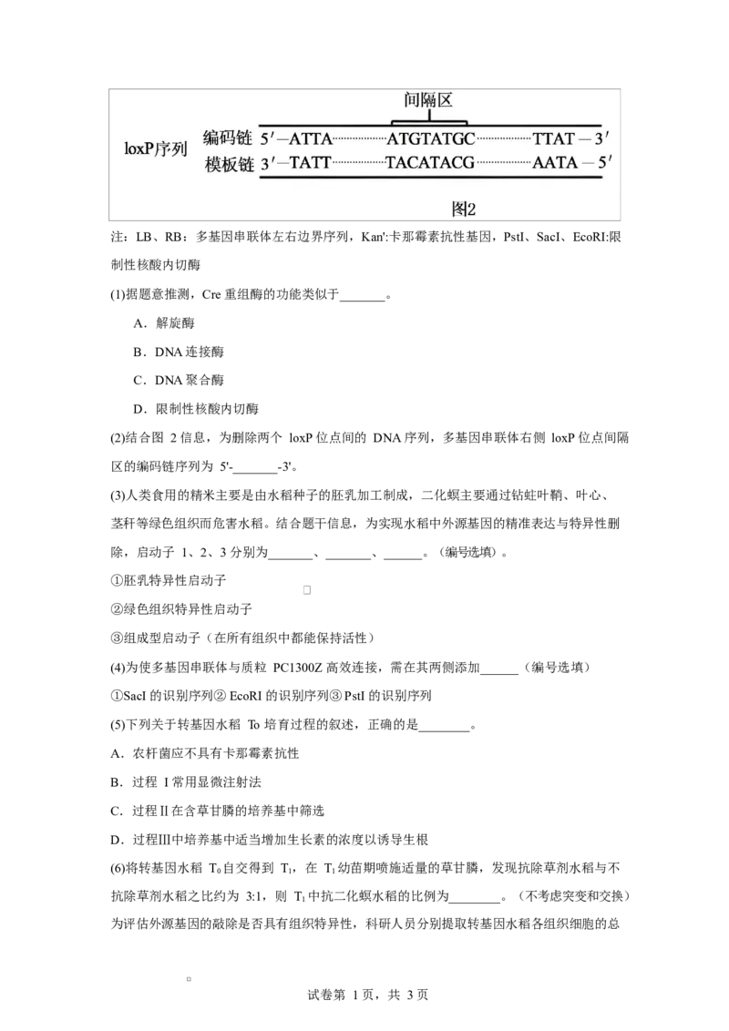 2025-2026学年度高三年级下学期综合素质评价三生物试卷_2024-2026高三（6-6月题库）_2026年04月高三试卷_260407河北省衡水中学2025-2026学年高三年级下学期综合素质评价三