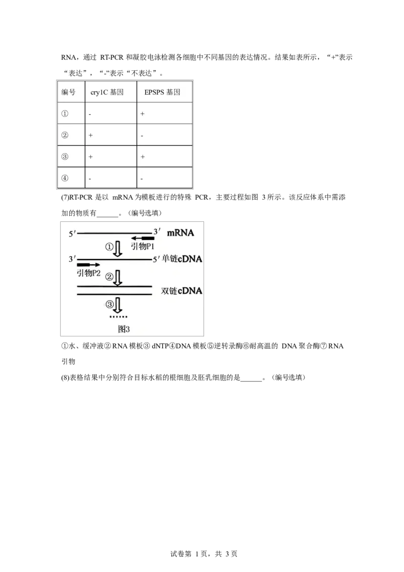 2025-2026学年度高三年级下学期综合素质评价三生物试卷_2024-2026高三（6-6月题库）_2026年04月高三试卷_260407河北省衡水中学2025-2026学年高三年级下学期综合素质评价三
