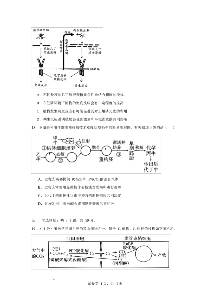 2025-2026学年度高三年级下学期综合素质评价三生物试卷_2024-2026高三（6-6月题库）_2026年04月高三试卷_260407河北省衡水中学2025-2026学年高三年级下学期综合素质评价三