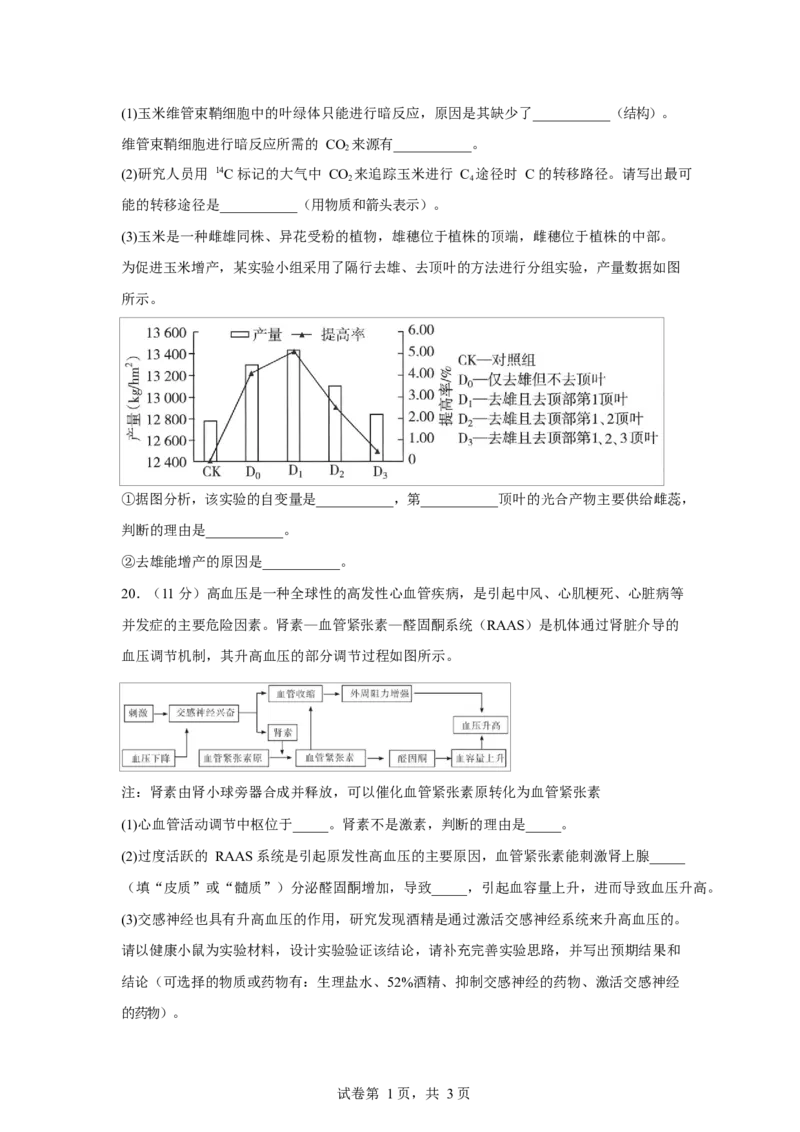 2025-2026学年度高三年级下学期综合素质评价三生物试卷_2024-2026高三（6-6月题库）_2026年04月高三试卷_260407河北省衡水中学2025-2026学年高三年级下学期综合素质评价三
