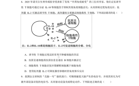 2025-2026学年度高三年级下学期综合素质评价三生物试卷_2024-2026高三（6-6月题库）_2026年04月高三试卷_260407河北省衡水中学2025-2026学年高三年级下学期综合素质评价三