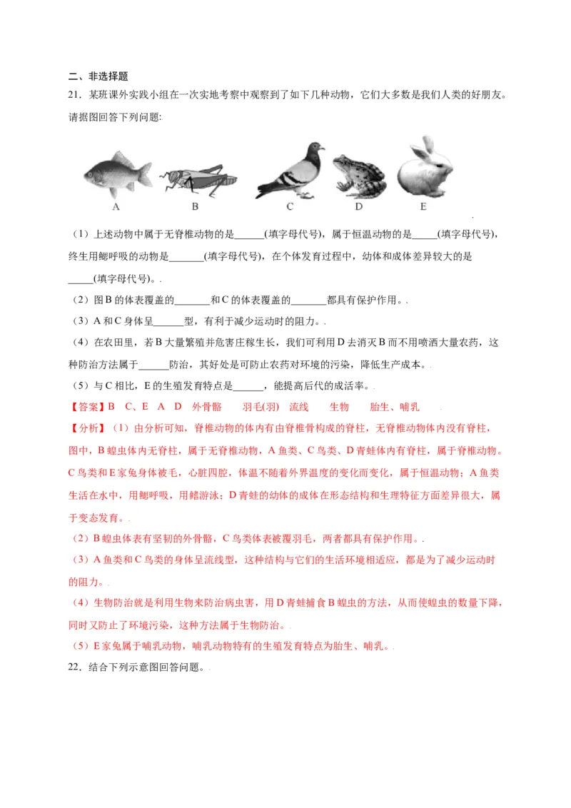 第五单元（第一章）动物的主要类群（选拔卷）-（人教版）（解析版）_初中全科电子版试卷练习试题_生物_生物8上练习_人教生物8年级上单元试卷48份