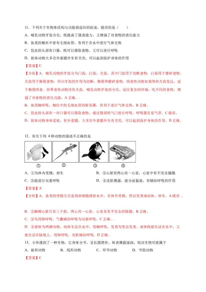 第五单元（第一章）动物的主要类群（选拔卷）-（人教版）（解析版）_初中全科电子版试卷练习试题_生物_生物8上练习_人教生物8年级上单元试卷48份