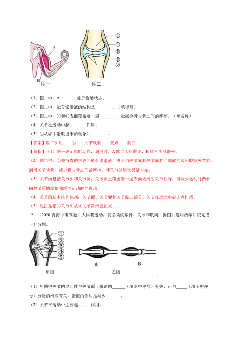 第五单元（第二章）动物的运动和行为（提分小卷）-（人教版）（解析版）_初中全科电子版试卷练习试题_生物_生物8上练习_人教生物8年级上单元试卷48份