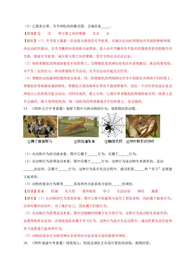 第五单元（第二章）动物的运动和行为（提分小卷）-（人教版）（解析版）_初中全科电子版试卷练习试题_生物_生物8上练习_人教生物8年级上单元试卷48份