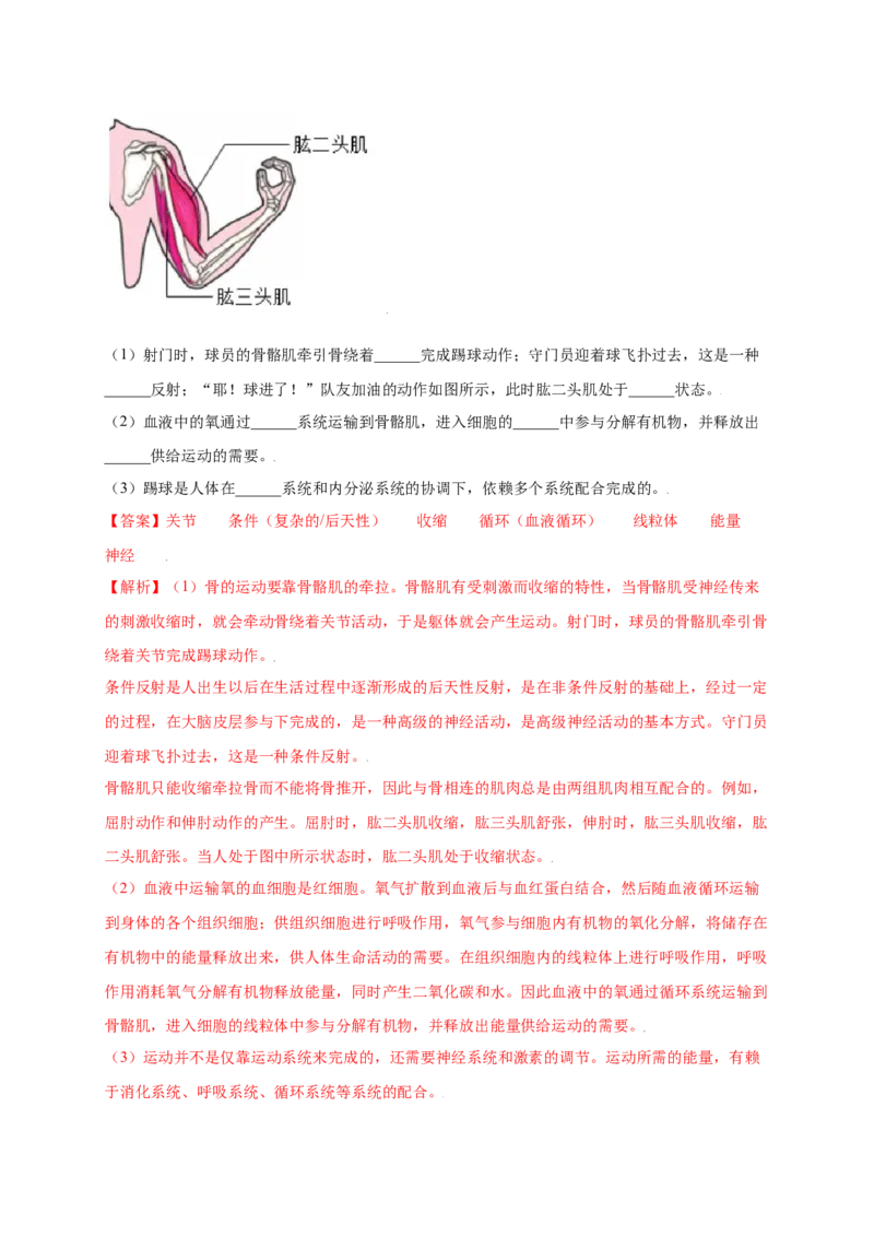 第五单元（第二章）动物的运动和行为（提分小卷）-（人教版）（解析版）_初中全科电子版试卷练习试题_生物_生物8上练习_人教生物8年级上单元试卷48份