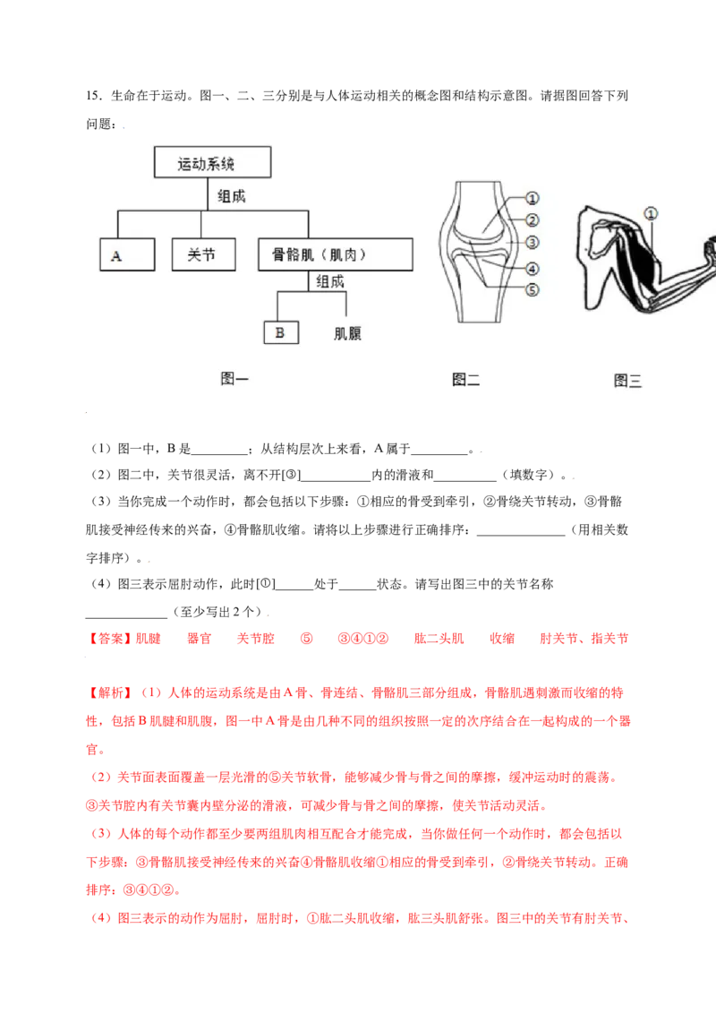 第五单元（第二章）动物的运动和行为（提分小卷）-（人教版）（解析版）_初中全科电子版试卷练习试题_生物_生物8上练习_人教生物8年级上单元试卷48份
