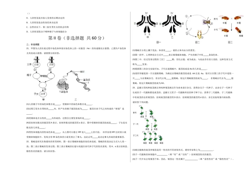 第二单元生物的遗传与变异（选拔卷）-单元测试（人教版）（考试版）_初中全科电子版试卷练习试题_生物_生物8下练习_人教生物8年级下单元试卷38份