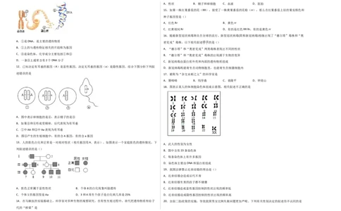 第二单元生物的遗传与变异（选拔卷）-单元测试（人教版）（考试版）_初中全科电子版试卷练习试题_生物_生物8下练习_人教生物8年级下单元试卷38份