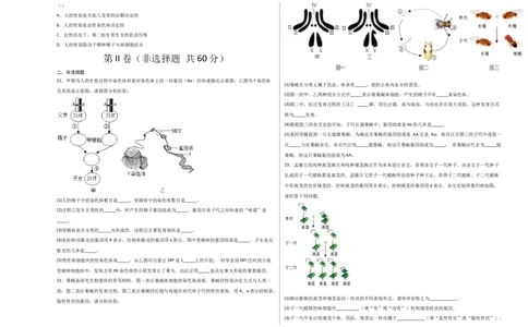 第二单元生物的遗传与变异（选拔卷）-单元测试（人教版）（考试版）_初中全科电子版试卷练习试题_生物_生物8下练习_人教生物8年级下单元试卷38份