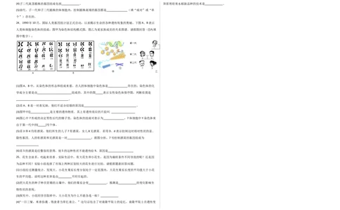 第二单元生物的遗传与变异（选拔卷）-单元测试（人教版）（考试版）_初中全科电子版试卷练习试题_生物_生物8下练习_人教生物8年级下单元试卷38份