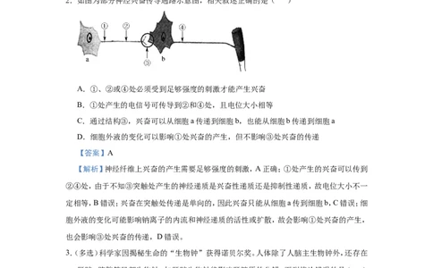 原创（新高考）2021届小题必练16动物及人体生命活动的调节教师版_新高考复习资料_2021年新高考资料_2021届（新高考）高考生物小题必练