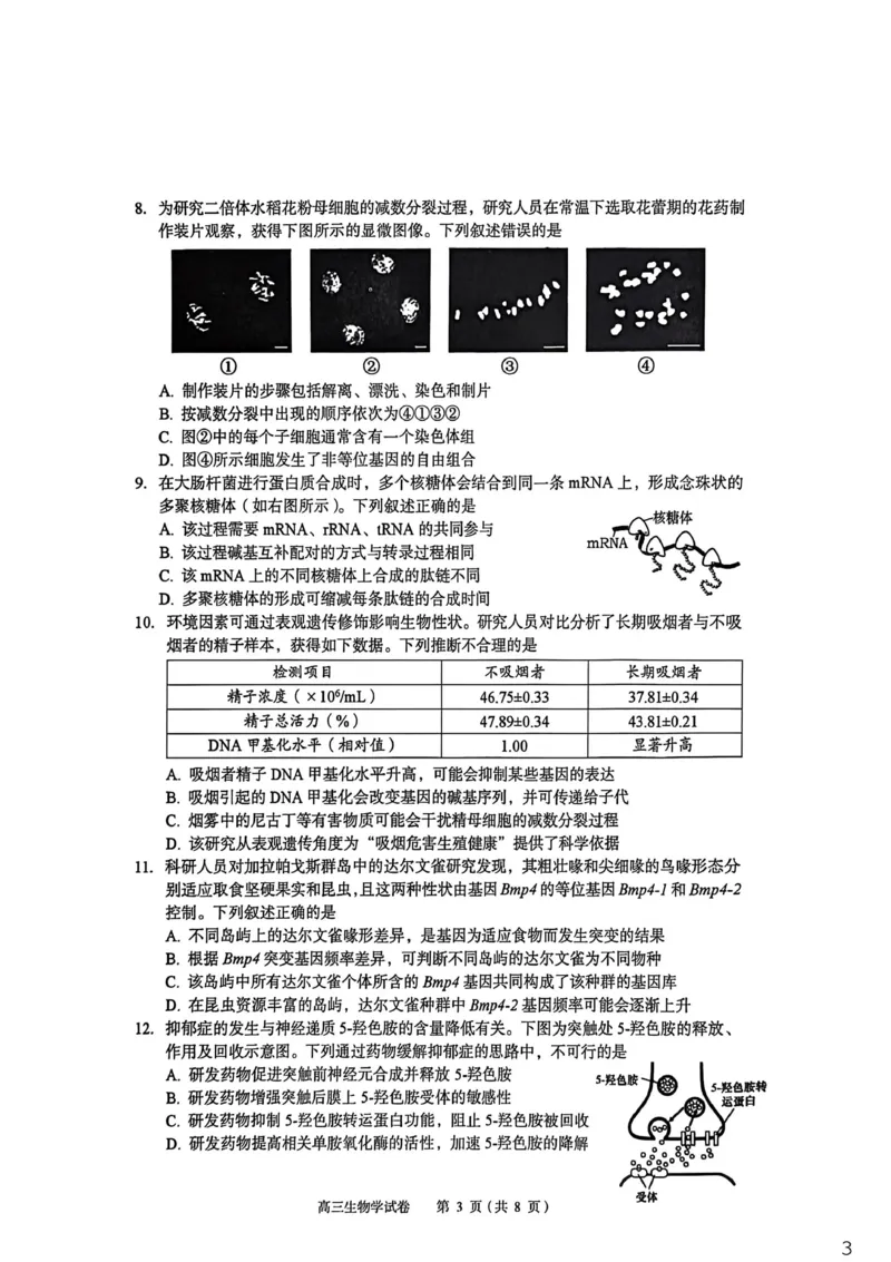2026年全市高三（3月）模拟考试生物_2024-2026高三（6-6月题库）_2026年03月高三试卷_260322湖北省黄石市2026年全市高三（3月）模拟考试（全科）