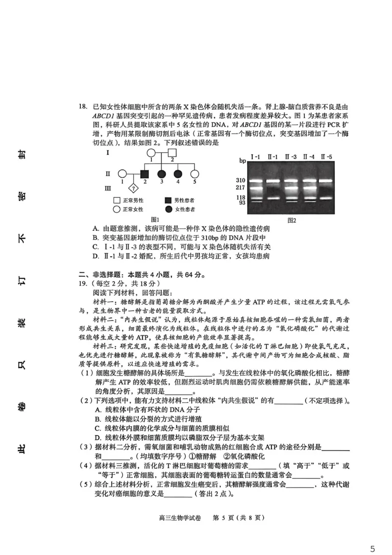 2026年全市高三（3月）模拟考试生物_2024-2026高三（6-6月题库）_2026年03月高三试卷_260322湖北省黄石市2026年全市高三（3月）模拟考试（全科）