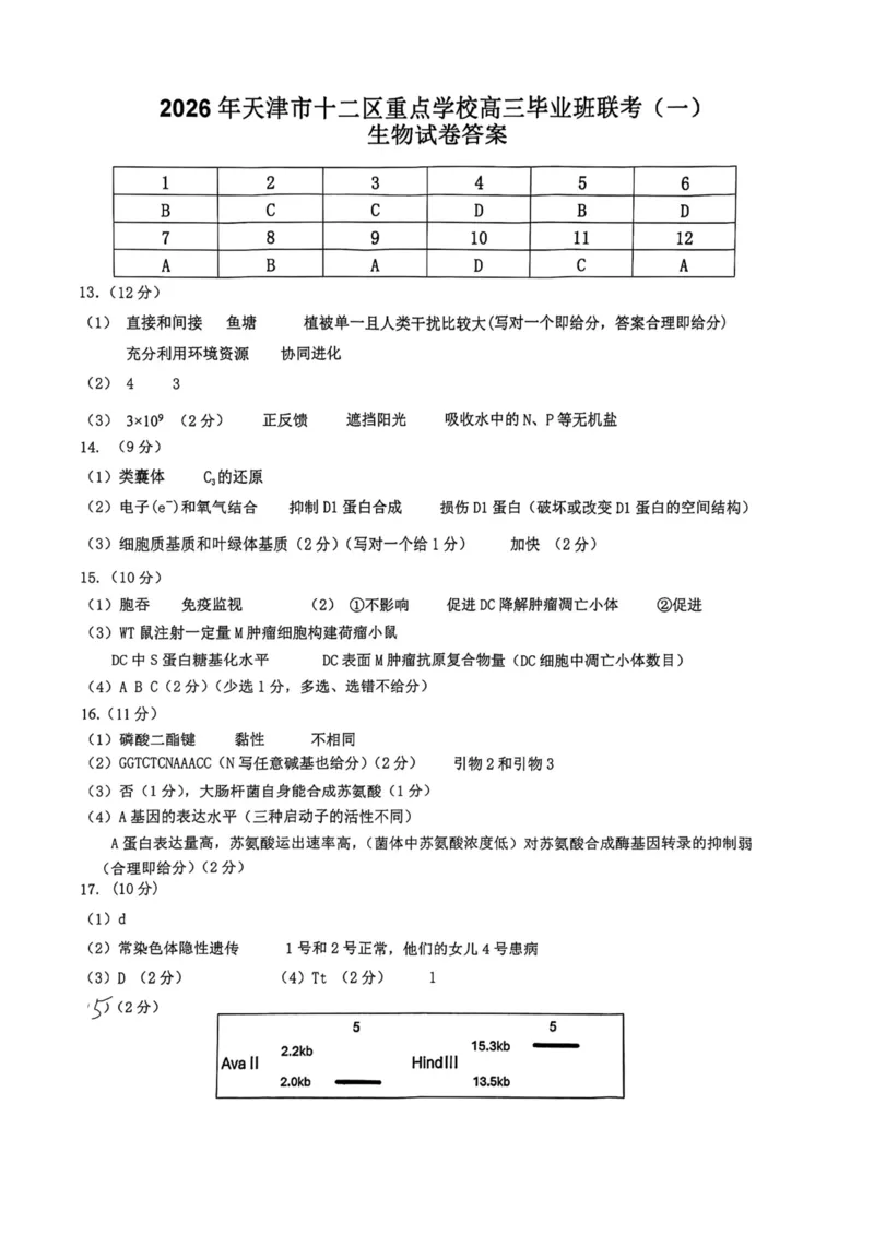 12校联考2026高三一模生物答案_2024-2026高三（6-6月题库）_2026年04月高三试卷_260402天津市十二区重点学校2025&mdash;2026学年高三下学期毕业联考（一）（全科）