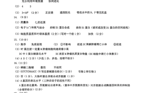 12校联考2026高三一模生物答案_2024-2026高三（6-6月题库）_2026年04月高三试卷_260402天津市十二区重点学校2025&mdash;2026学年高三下学期毕业联考（一）（全科）