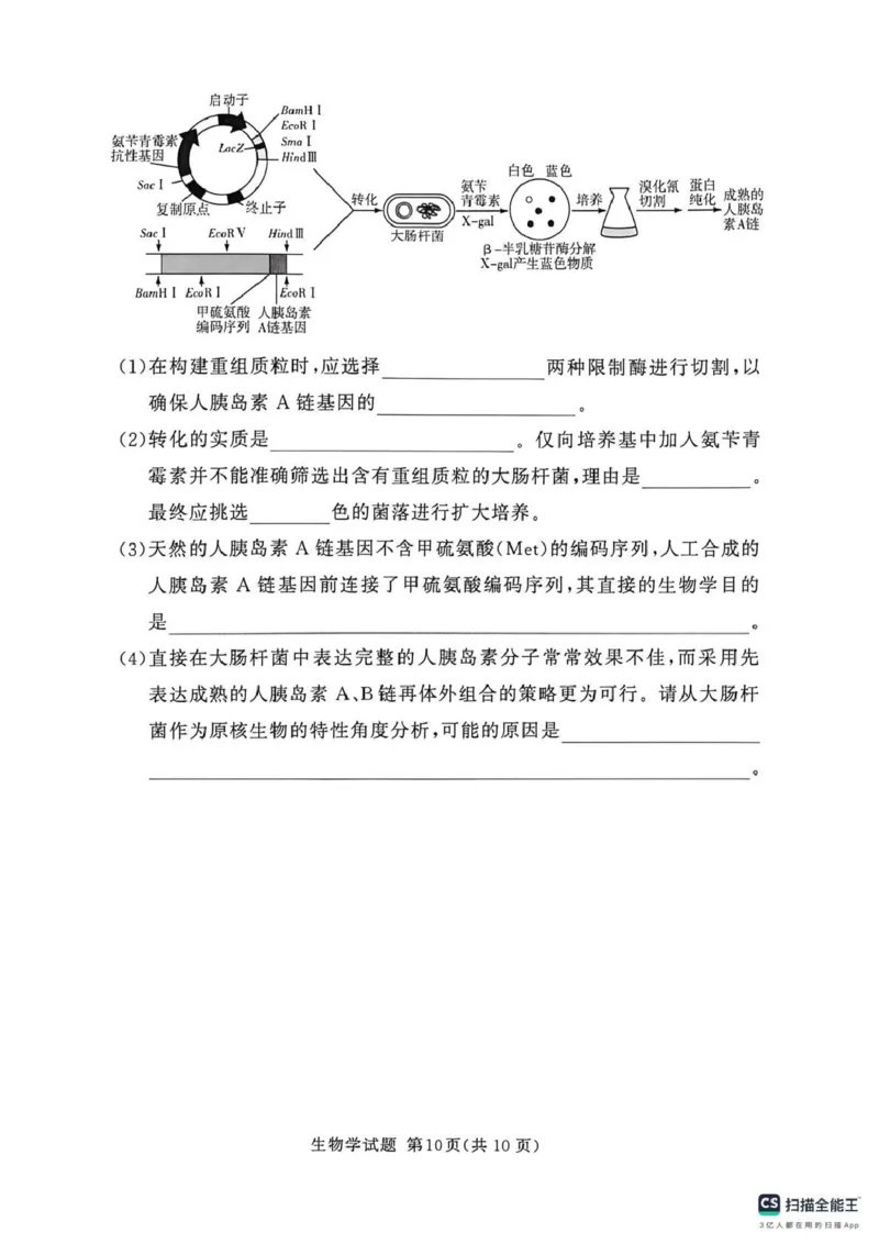 2025-2026学年高三下学期四月阶段检测生物_2024-2026高三（6-6月题库）_2026年04月高三试卷_260412河南省湘豫联盟2025-2026学年高三下学期四月阶段检测（全科）