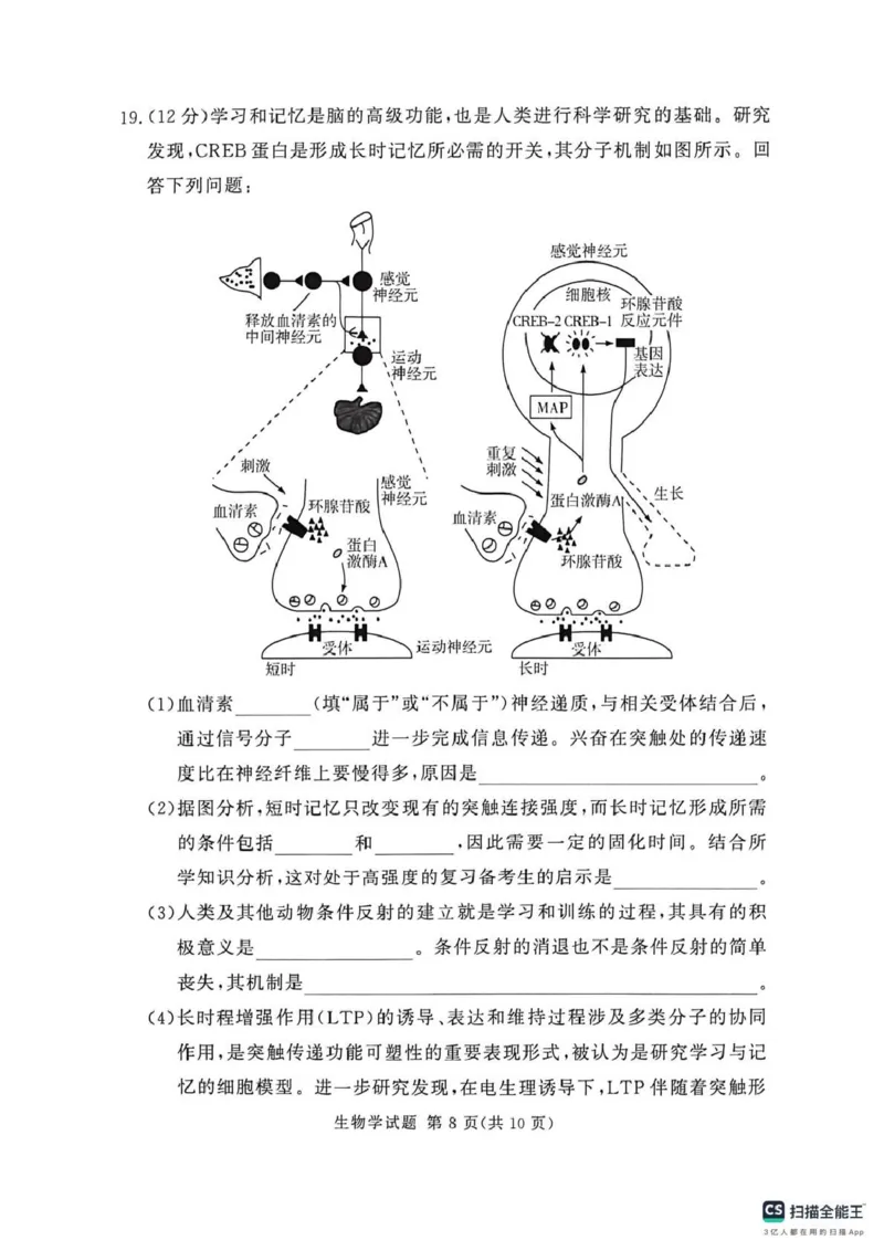 2025-2026学年高三下学期四月阶段检测生物_2024-2026高三（6-6月题库）_2026年04月高三试卷_260412河南省湘豫联盟2025-2026学年高三下学期四月阶段检测（全科）