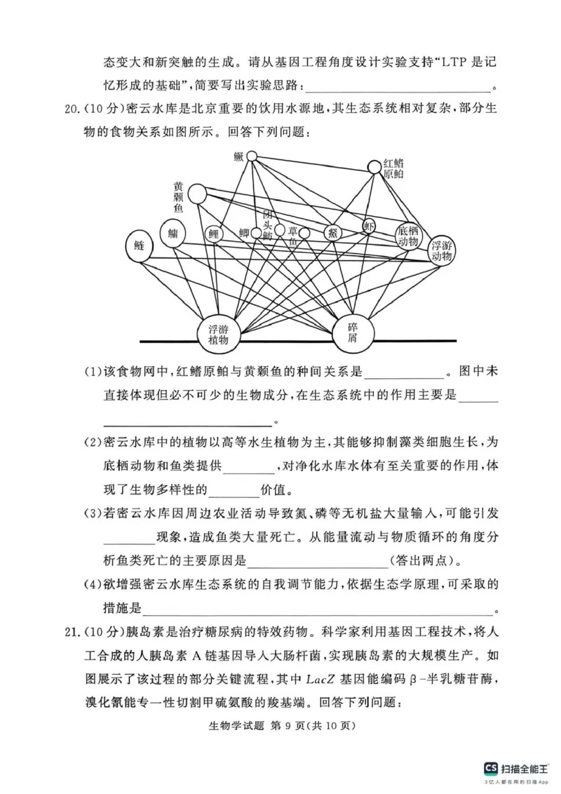 2025-2026学年高三下学期四月阶段检测生物_2024-2026高三（6-6月题库）_2026年04月高三试卷_260412河南省湘豫联盟2025-2026学年高三下学期四月阶段检测（全科）
